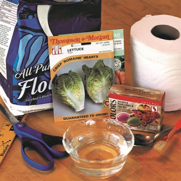 Supplies for making seed tape