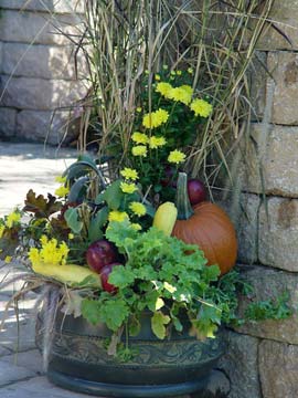 Mixed fall container