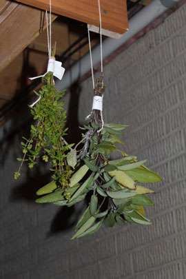 Dry herbs in small bunches