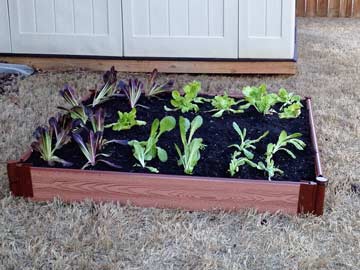 Simple store bought raised bed kit