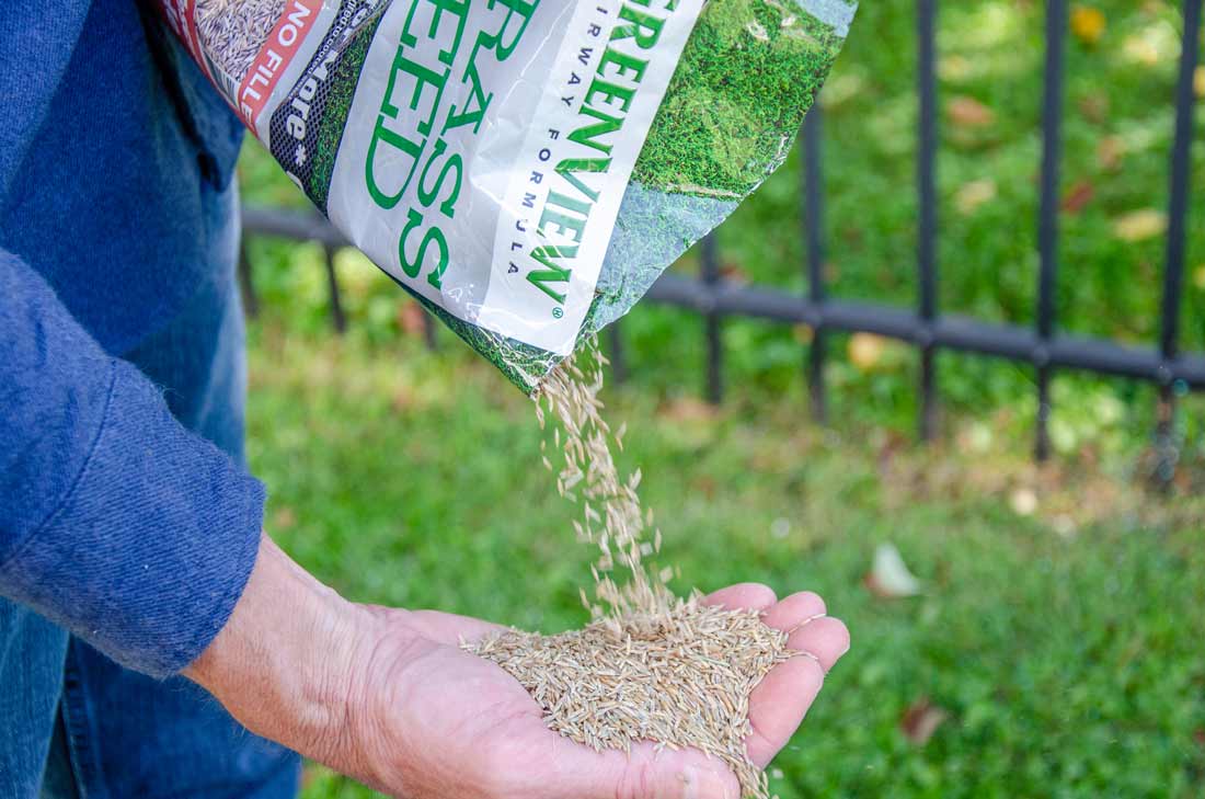 GreenView grass seed
