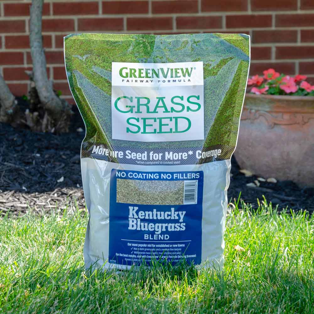 GreenView Fairway Formula Kentucky Bluegrass Seed bag