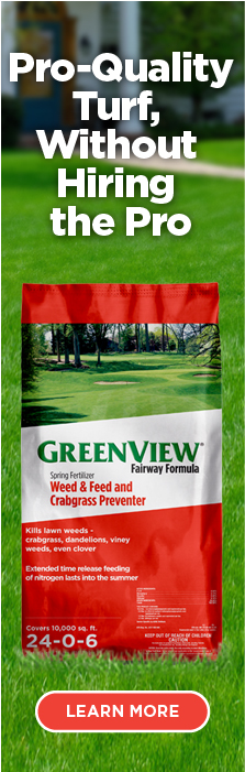 GreenView Fairway Formula Weed & Feed 