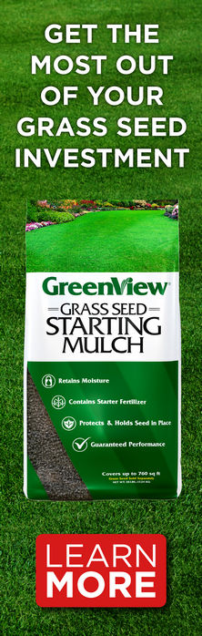 GreenView Fairway Formula Seeding Success 