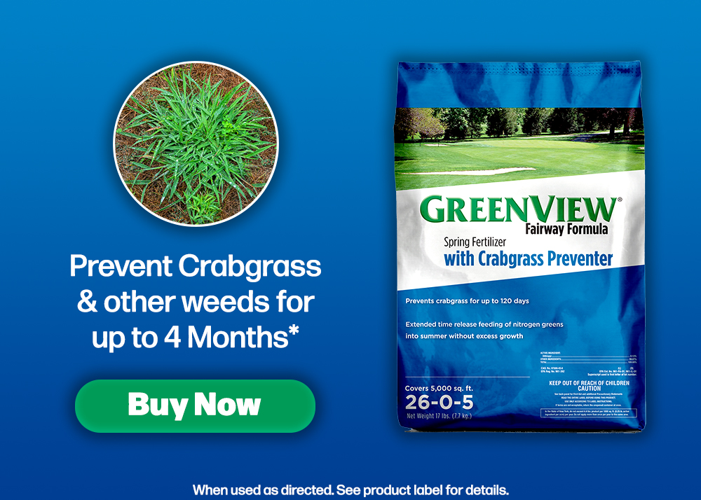 GreenView Spring Fertilizer with Crabgrass Preventer