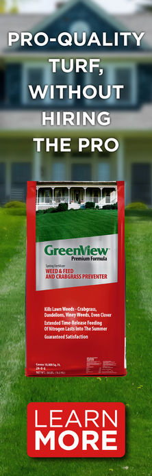 GreenView Fairway Formula Weed & Feed 