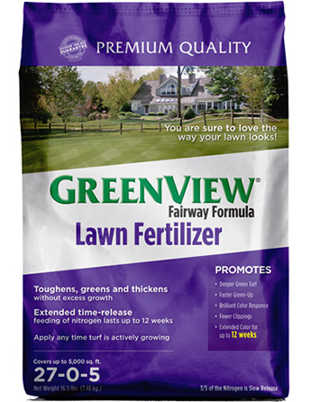 GreenView Fairway Formula Lawn Fertilizer 2129187